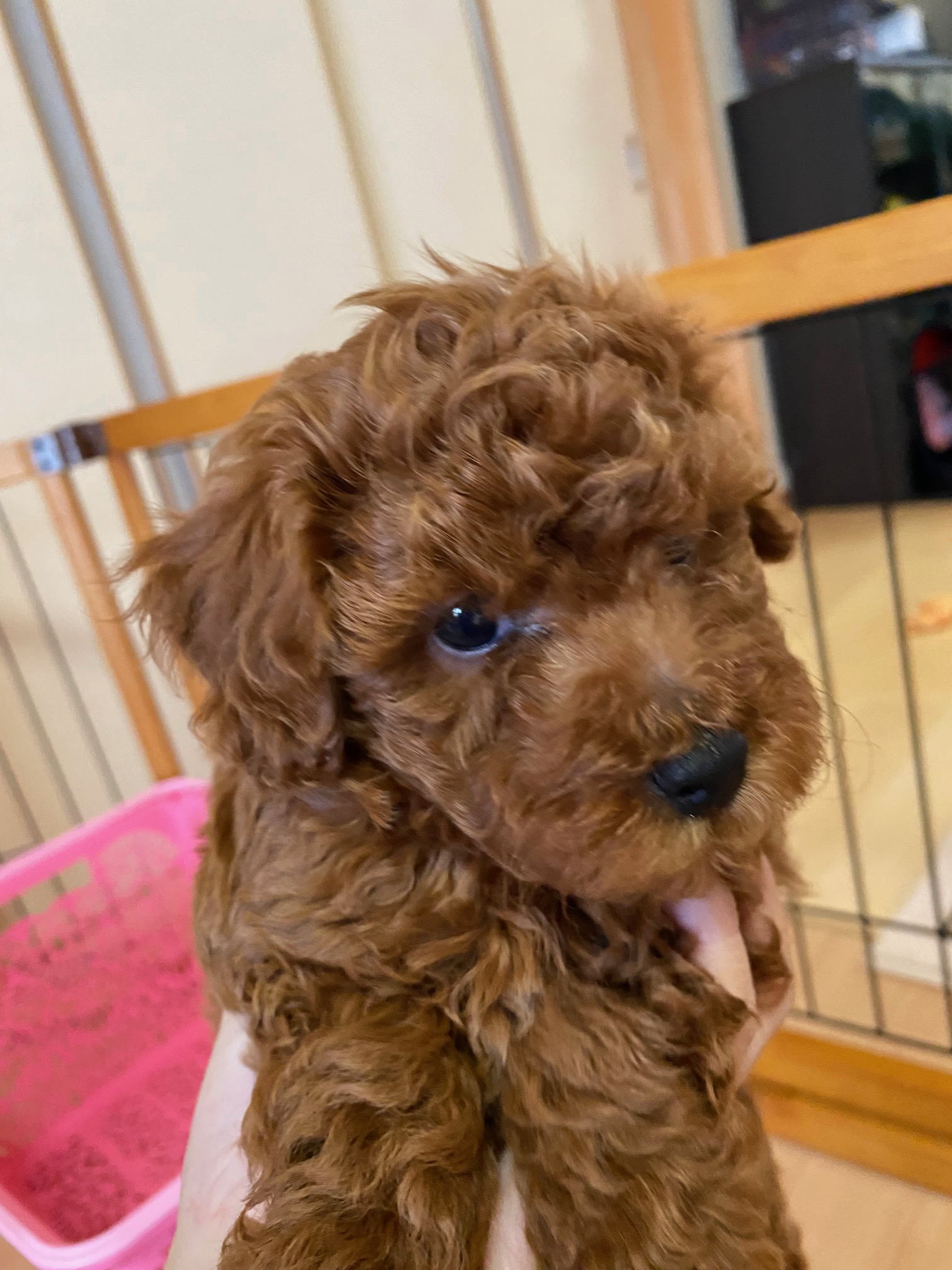 ���i�C���[�W