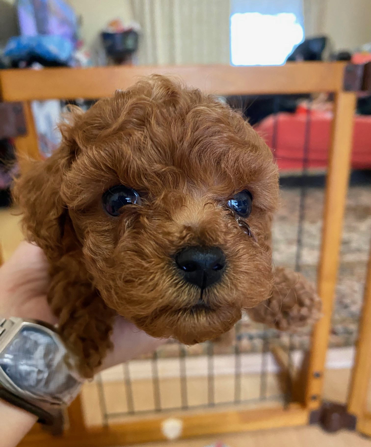 ���i�C���[�W